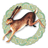 Celtic Brown Hare Four Cards - 7.50 