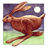 Night Hare Four Cards - 7.50 